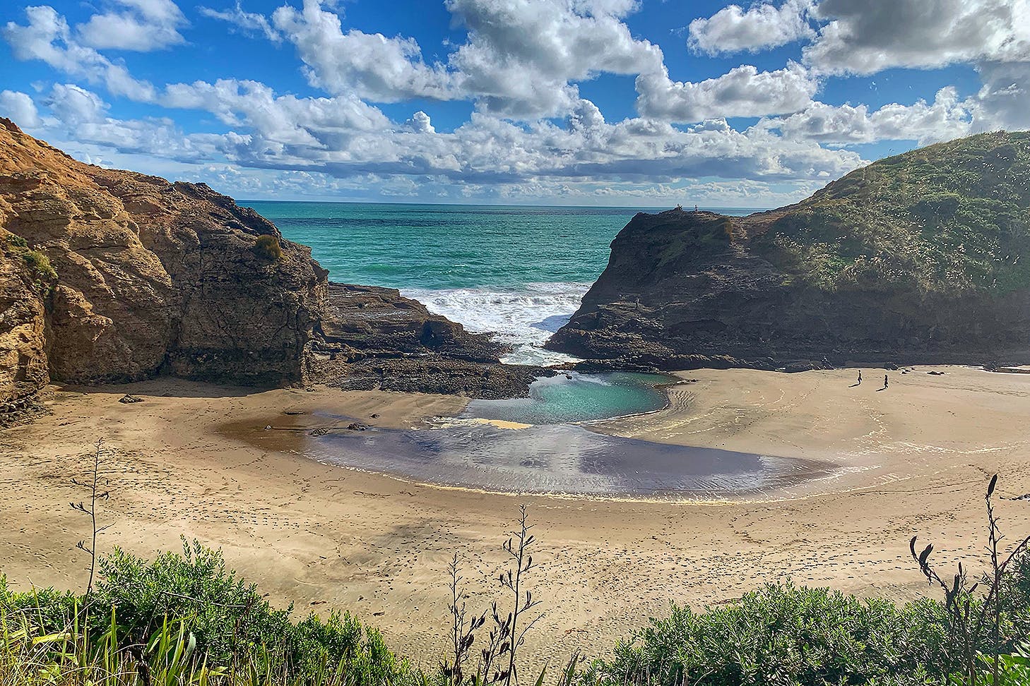 The tasman track at Piha